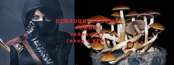 первитин Киреевск