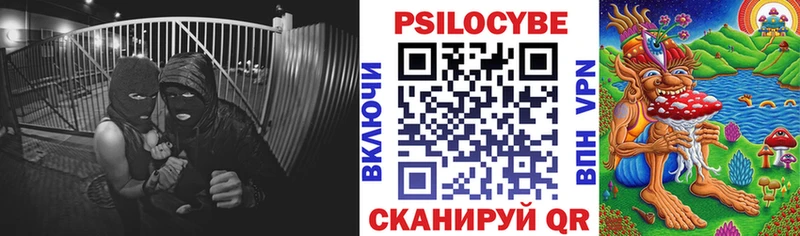 Псилоцибиновые грибы прущие грибы  Купить  Цоци-Юрт 